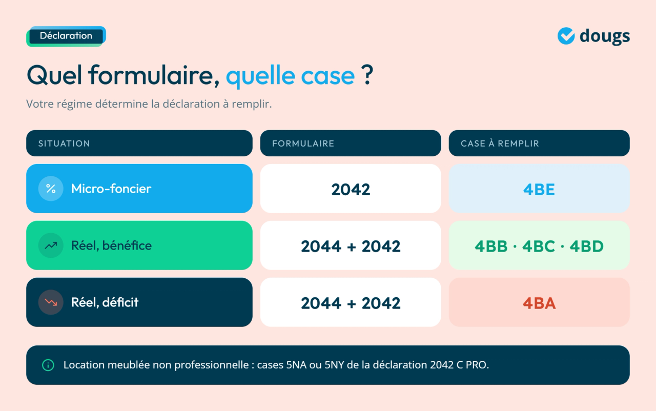 Infographie - Quel formulaire et quelle case ?