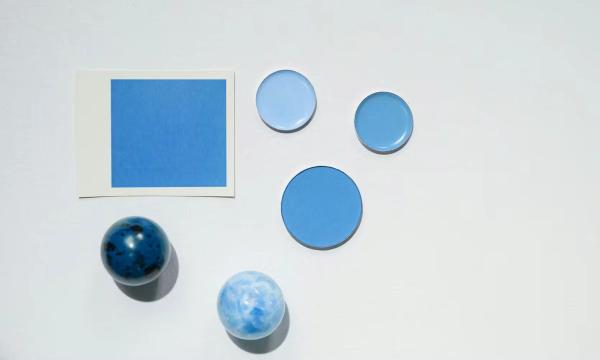 Le guide complet sur le capital social d'une SARL