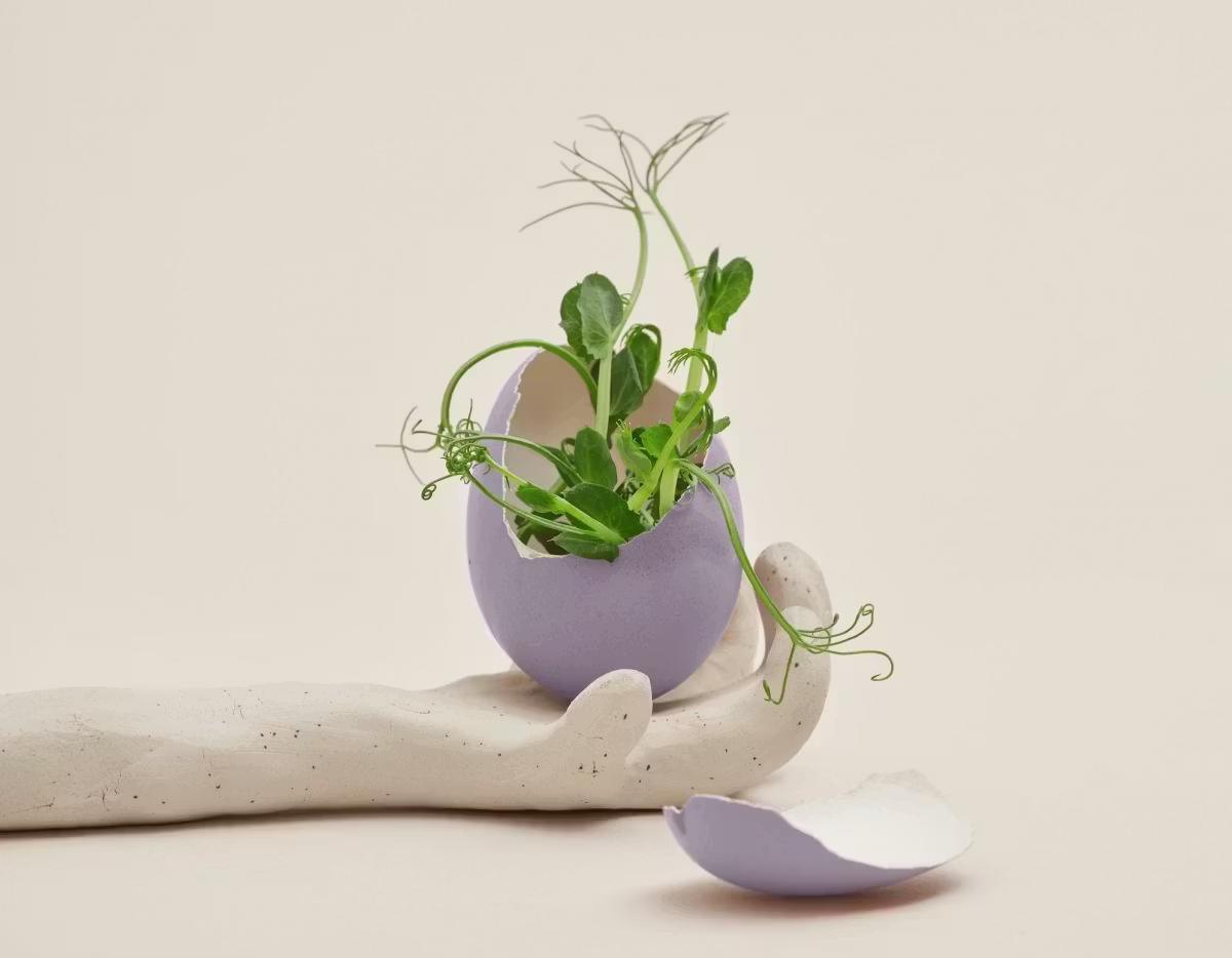 Freelance : 4 conseils pour vous renouveler et faire évoluer votre business