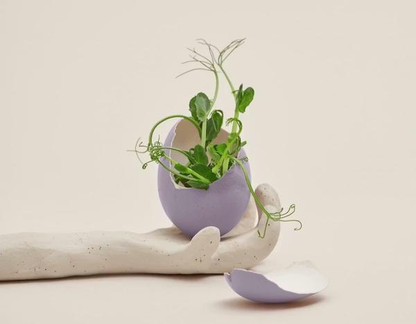 Freelance : 4 conseils pour vous renouveler et faire évoluer votre business