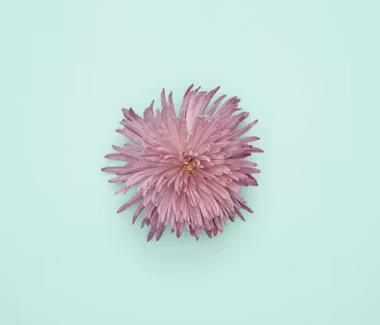 Transformation d'une SASU en SAS : conseils et démarches