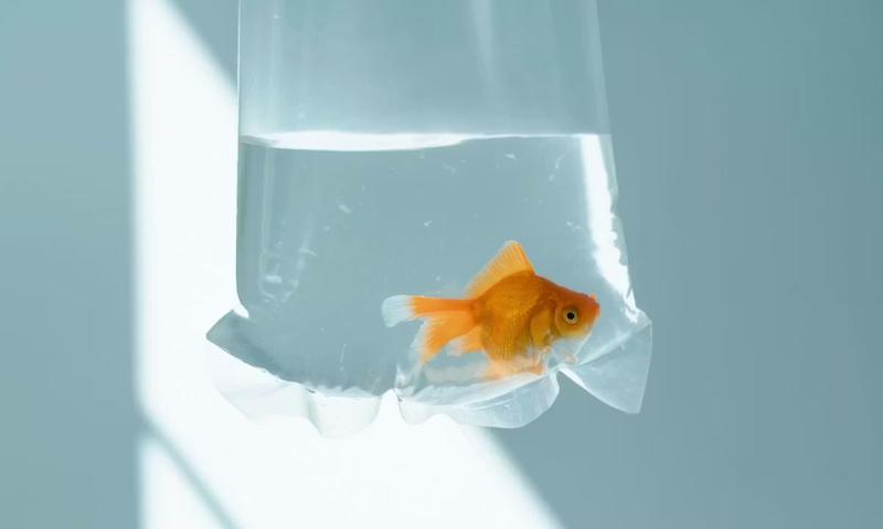 Comment devenir travailleur indépendant ?