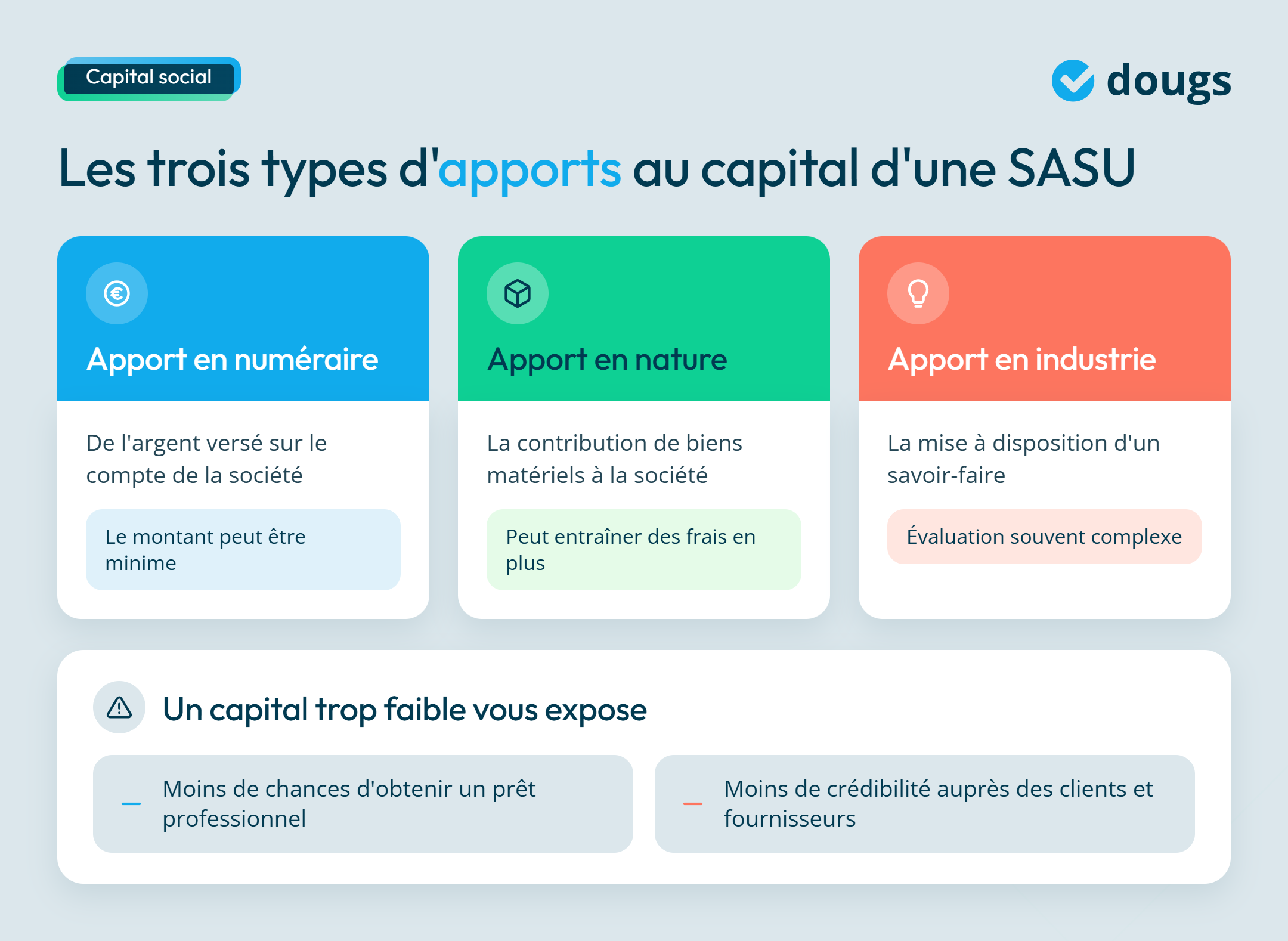 infographie capital social