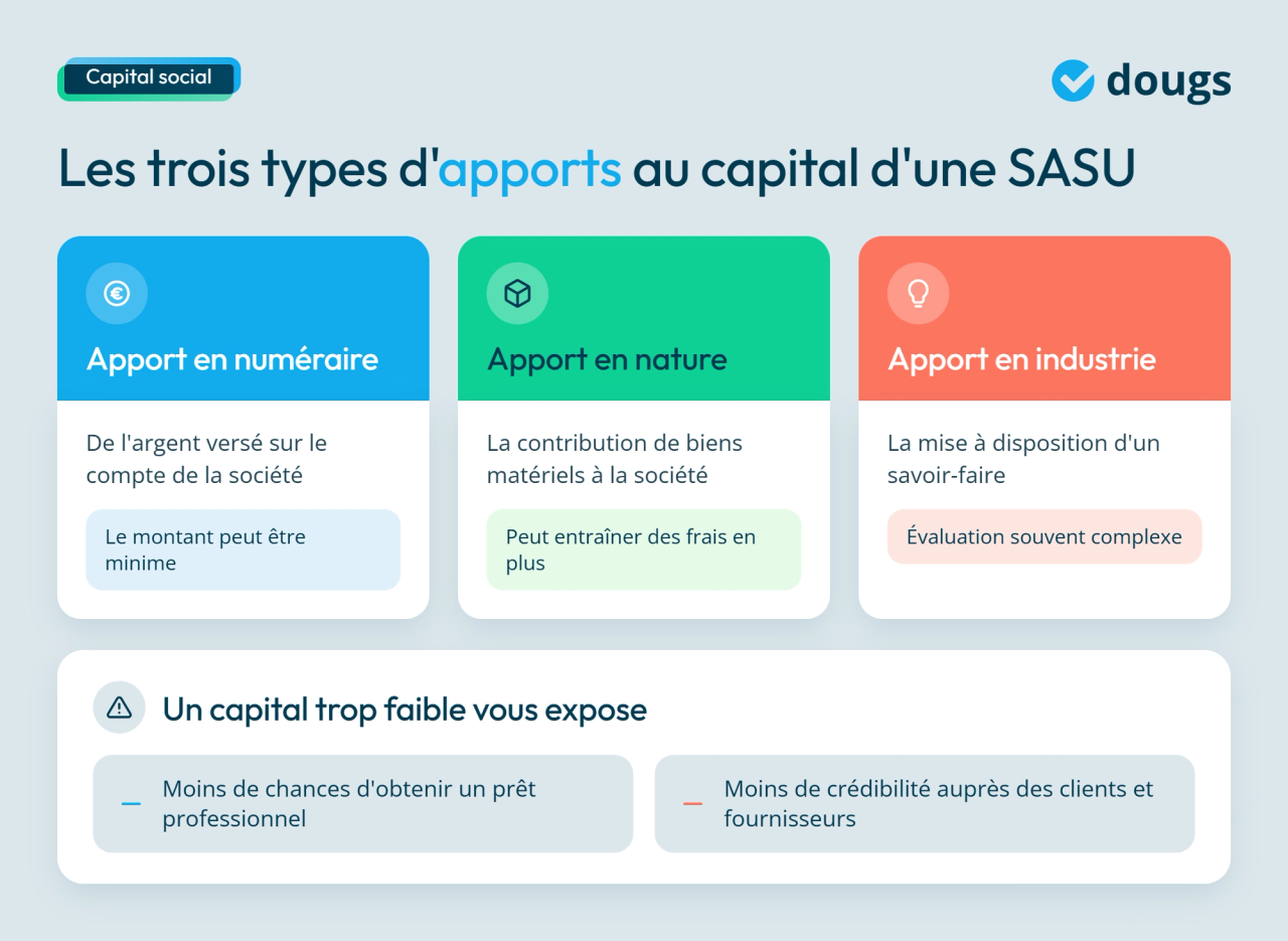 infographie capital social