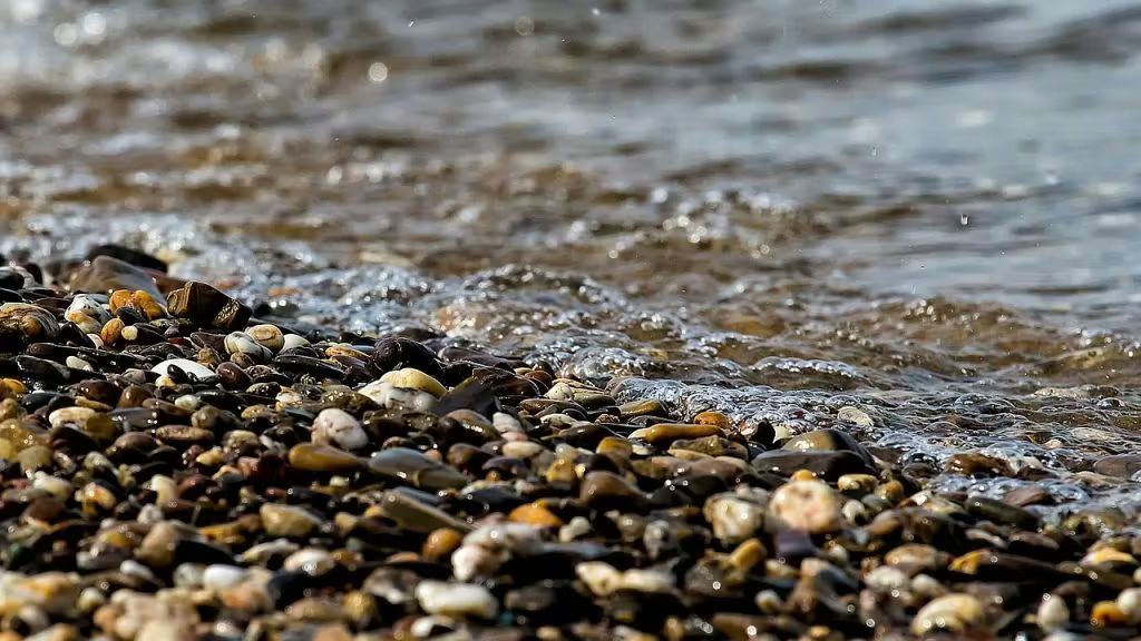 Illustration pour l'article : Comment calculer une plus value sur une cession d’actions ? (image 1/2)