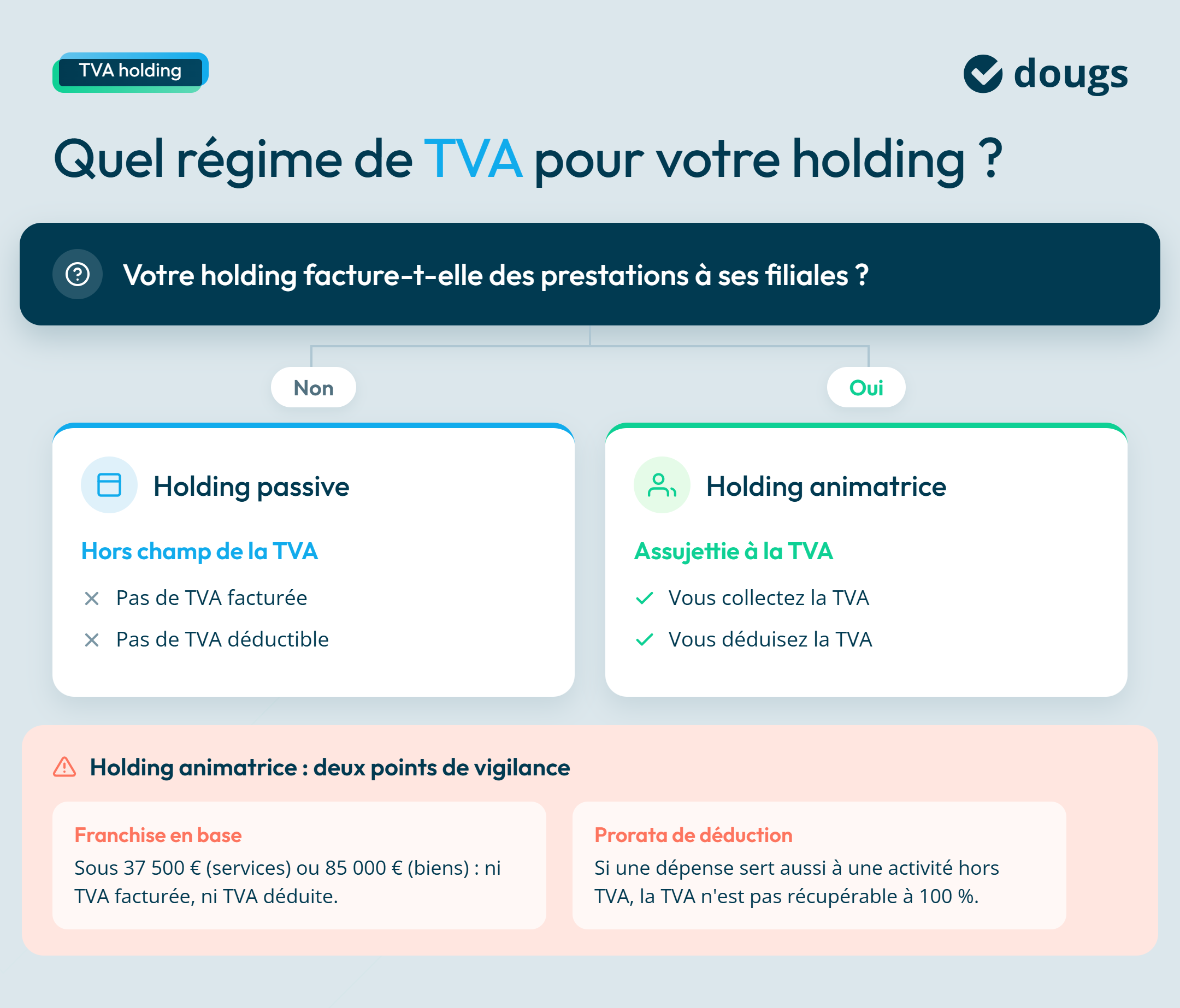 Infographie sur le régime de tva pour une holding