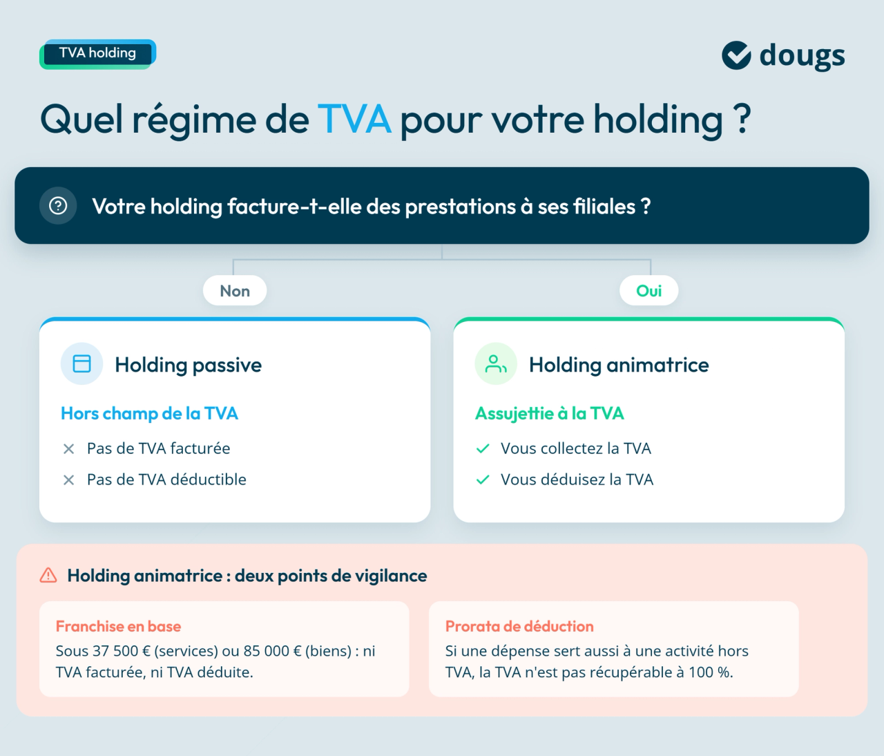Infographie sur le régime de tva pour une holding