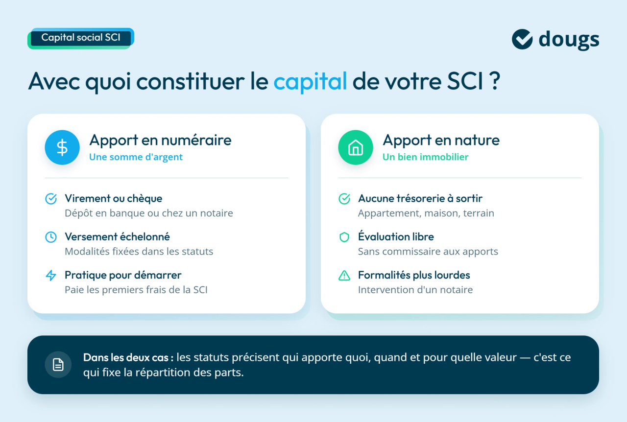 Infographie option de contribution de capital