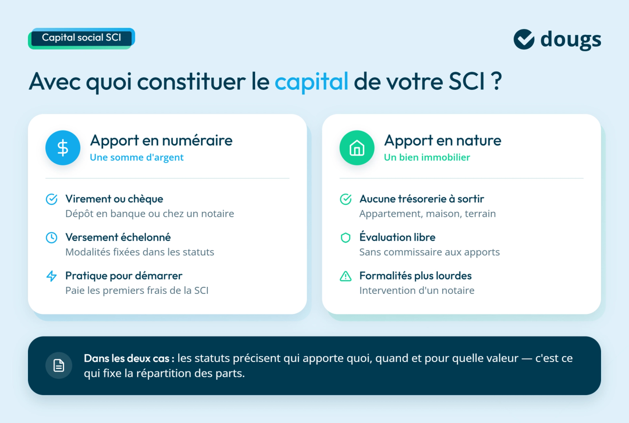 Infographie option de contribution de capital