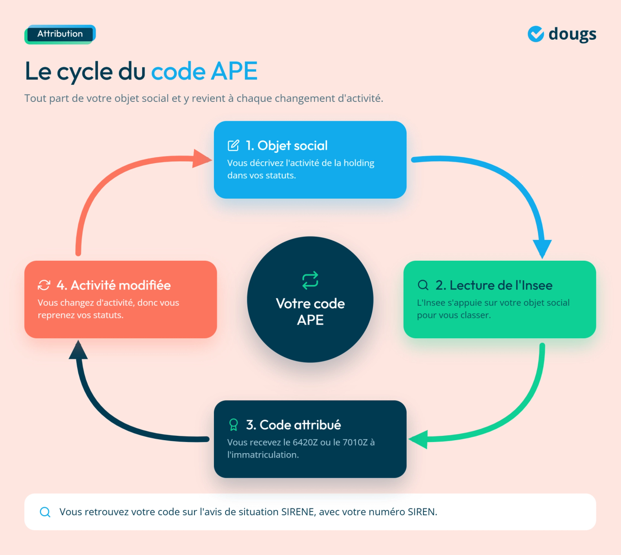Infographie - Le cycle du code APE