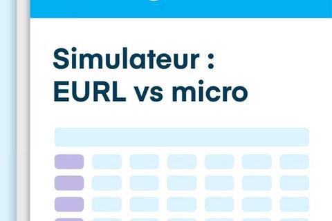 EURL ou micro : 5 min pour choisir