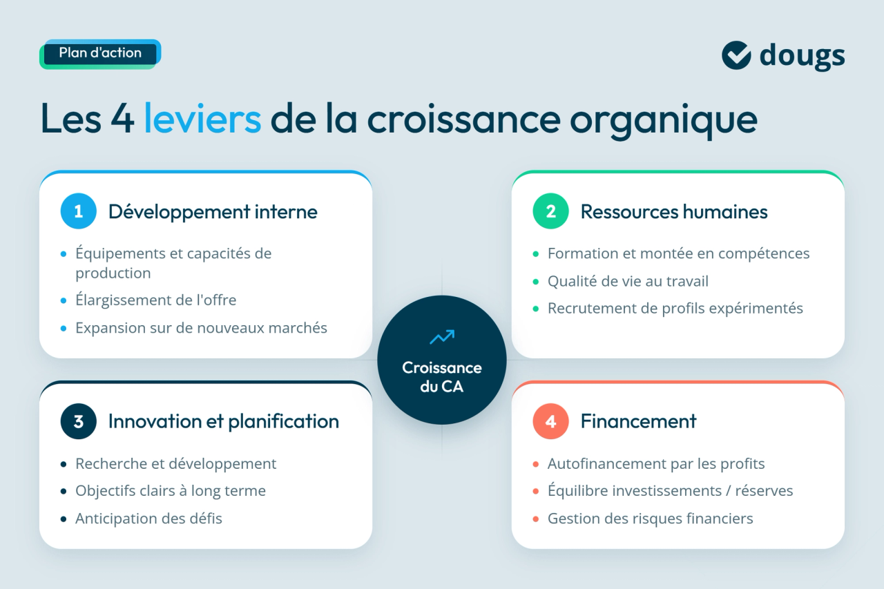 Infographie présentant les 4 leviers de la croissance organique, sections colorées et texte.