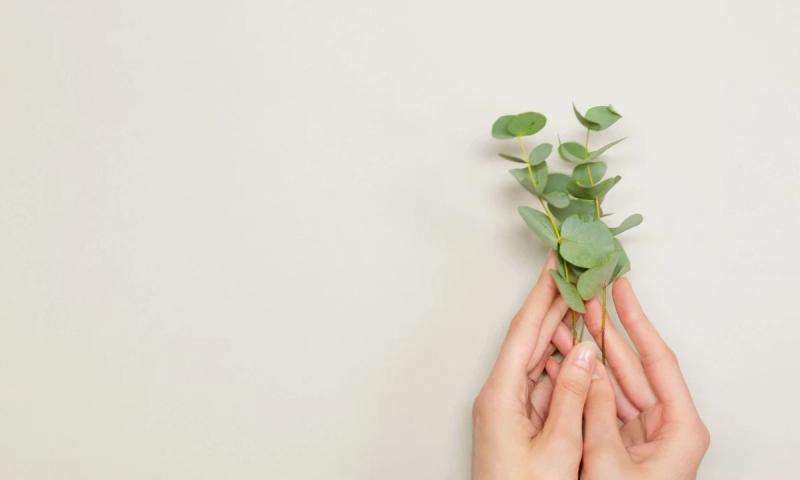 Tout ce qu'il faut savoir sur le capital social d'une EURL