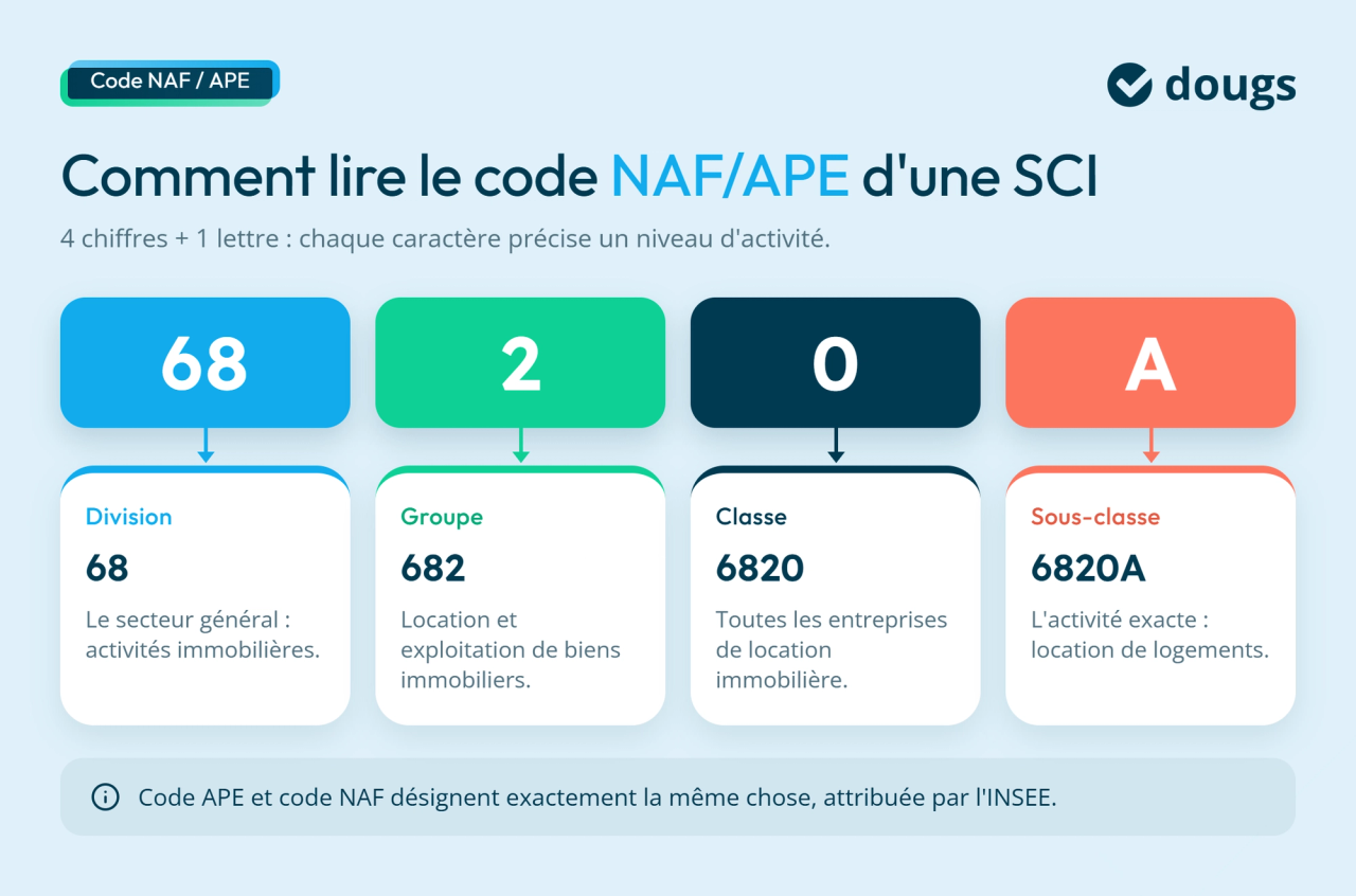 Infographie structure code NAF APE