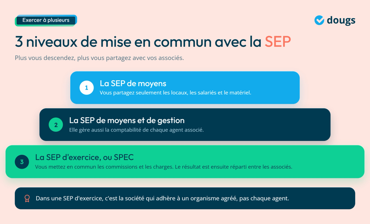 Infographie - 3 niveaux de mise en commun avec la SEP