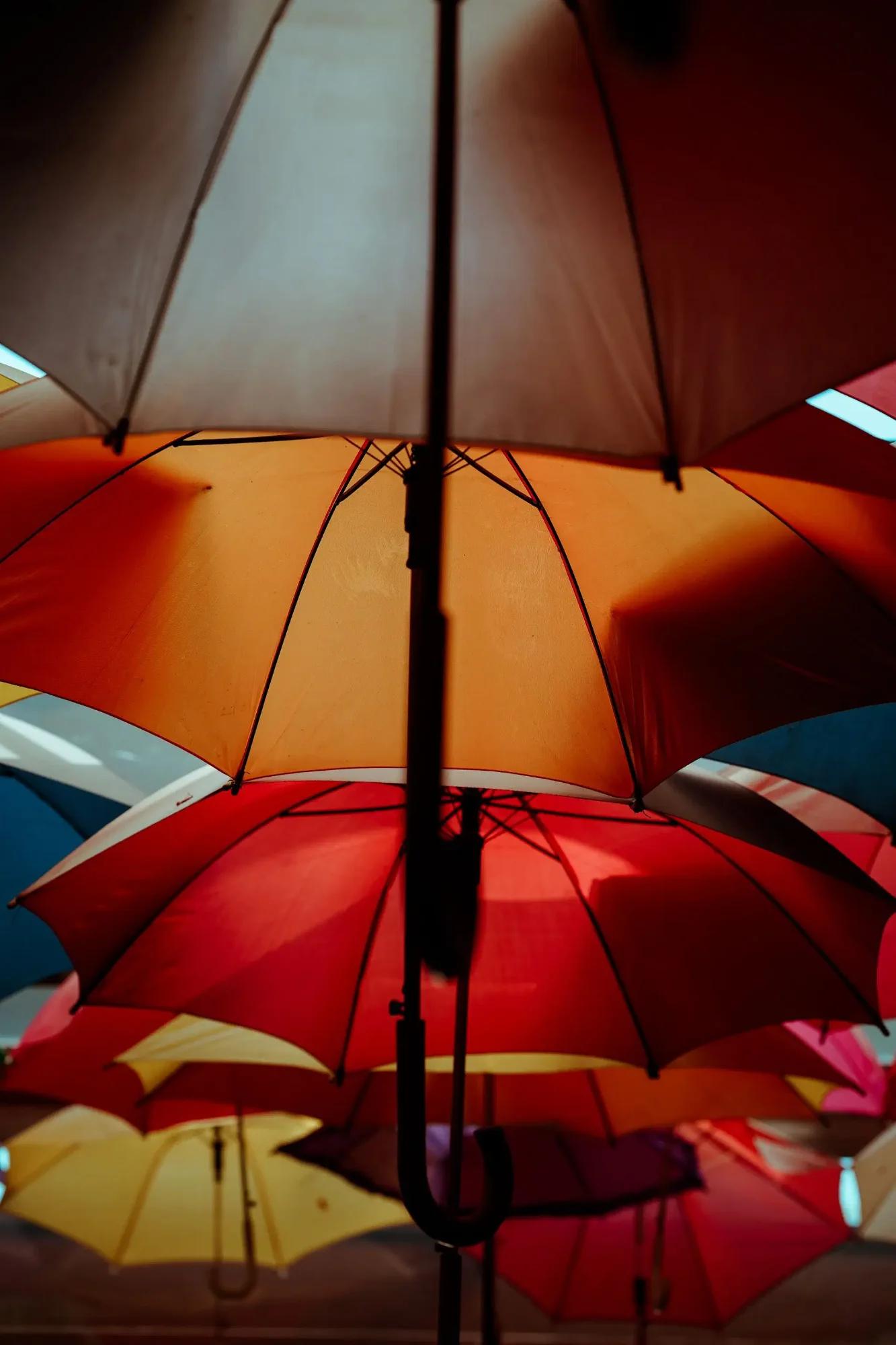 Portabilité mutuelle : guide des obligations employeur | Dougs