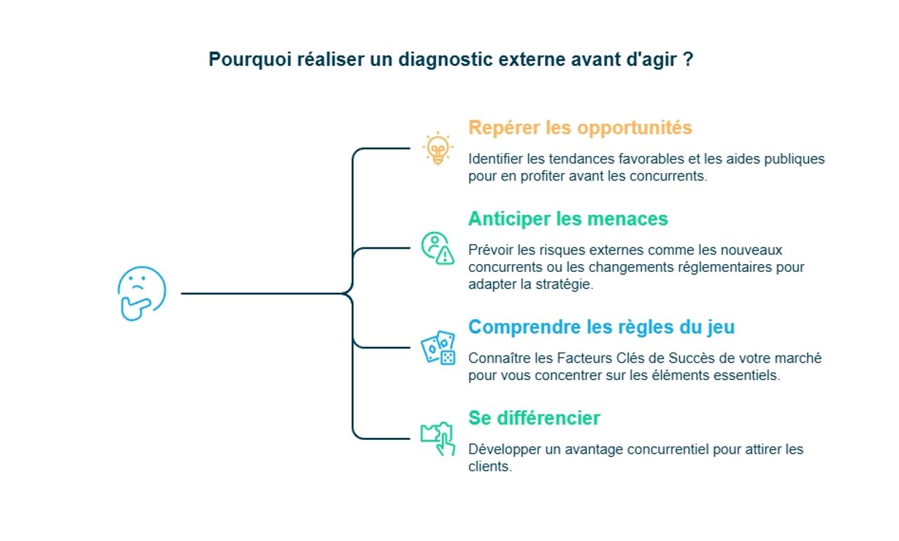 Infographie raisons d'un diagnostic externe