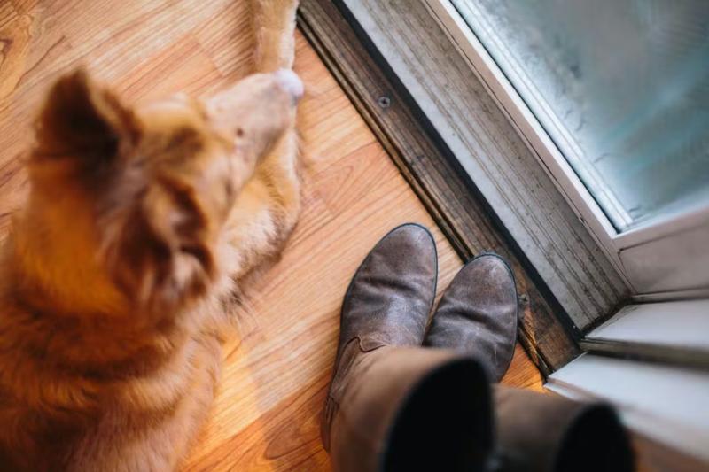 Dépenses déductibles partie n°3 : Les cotisations et impôts déductibles