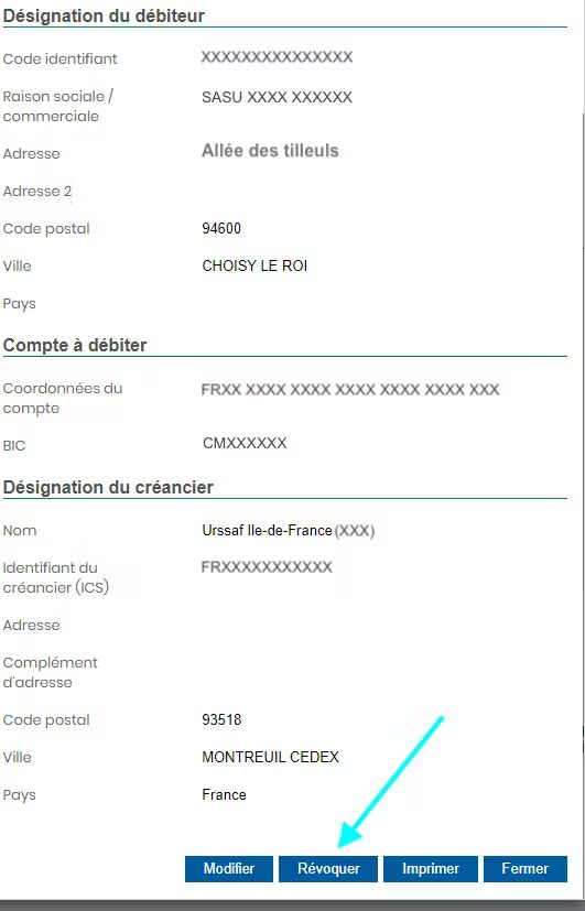 Illustration pour l'article : Déclarer son nouveau compte Qonto auprès des organismes fiscaux et sociaux (image 8/11)