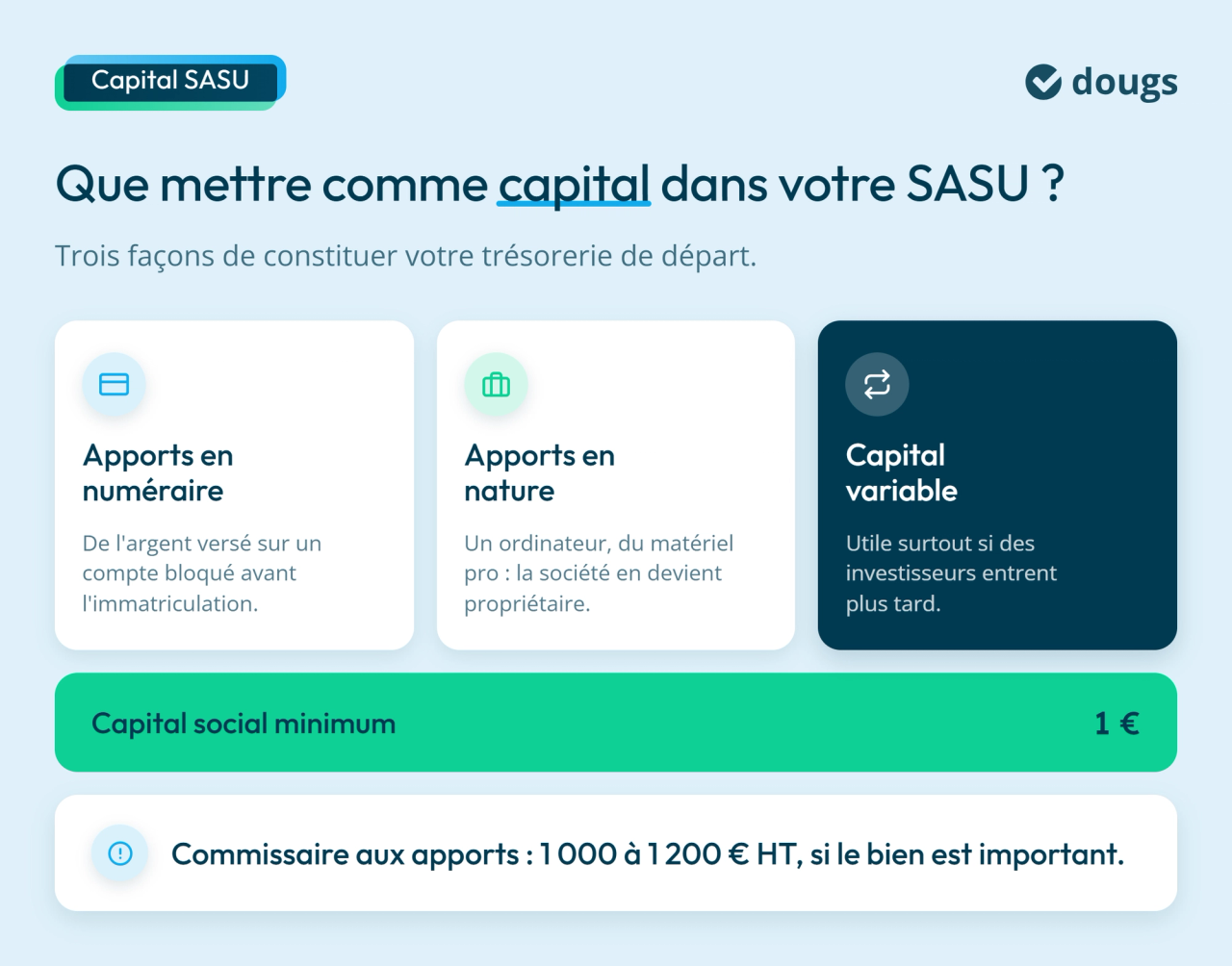 Infographie : Que mettre comme capital dans votre SASU ?