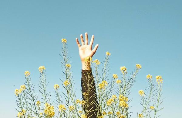 Indépendants, comment vous rémunérer sans perdre votre pension d’invalidité ?