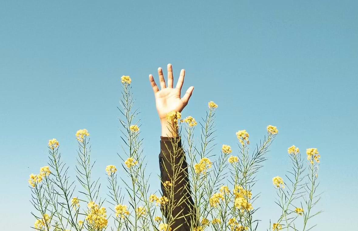 Indépendants, comment vous rémunérer sans perdre votre pension d’invalidité ?