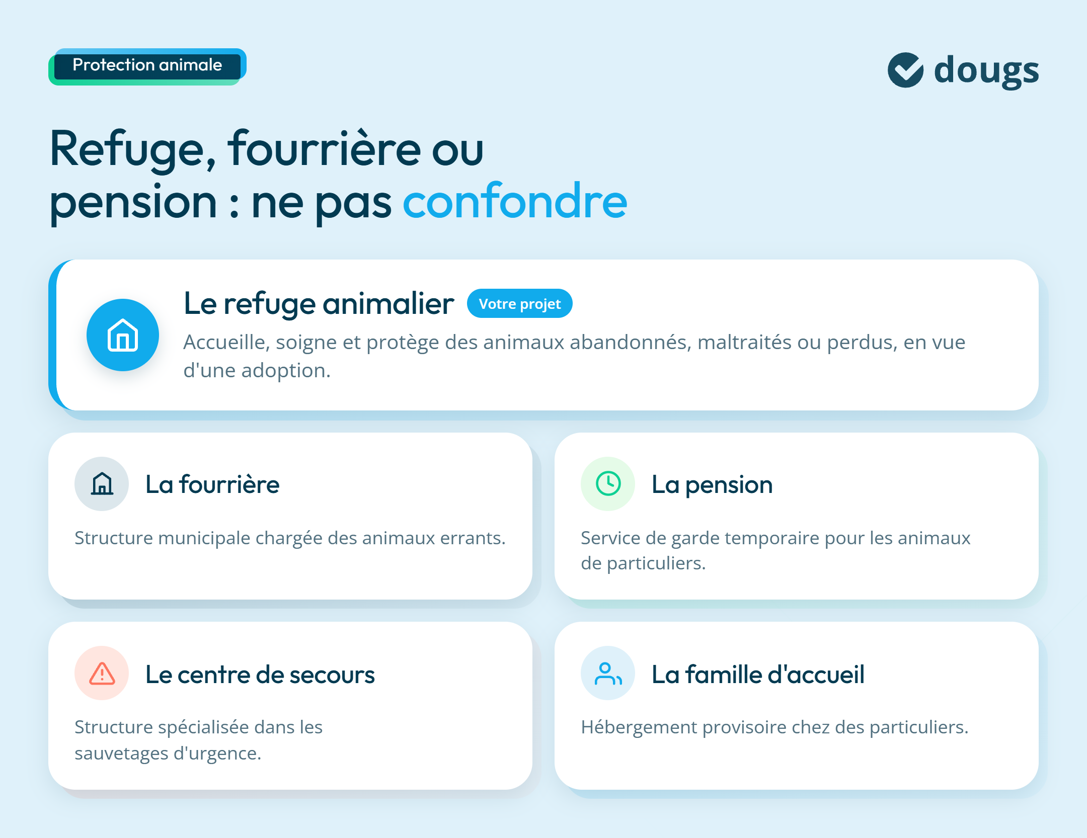 infographie types
