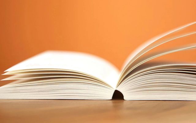 Le grand livre comptable : un indispensable en comptabilité