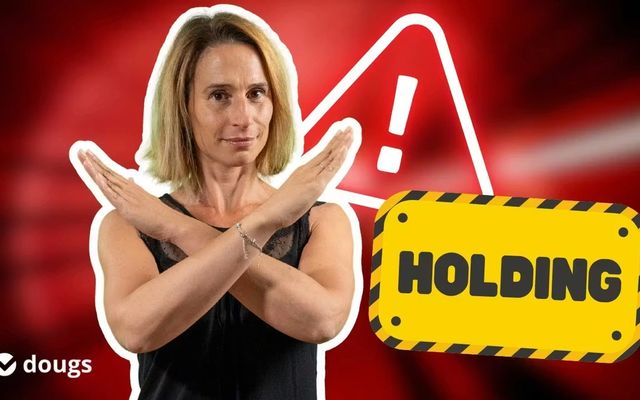 Quels sont les risques de la holding ?