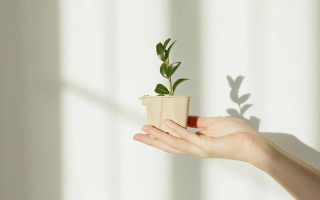 Dispositif NACRE : guide complet des démarches en 2026