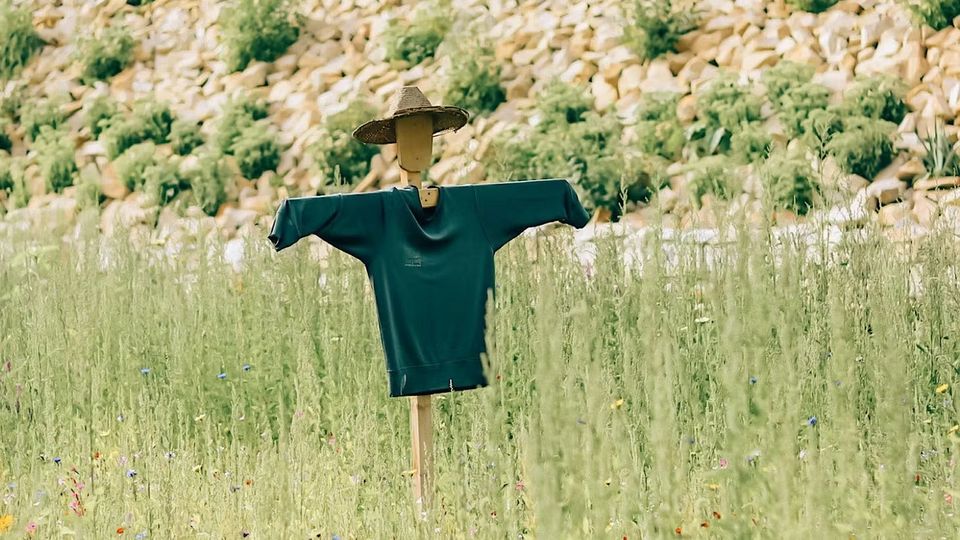 L'homme de paille comme dirigeant : est-ce légal ?