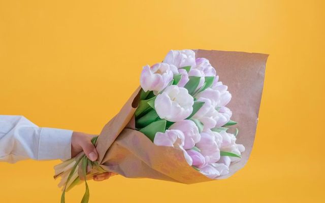 Business plan : définition, utilité et coût
