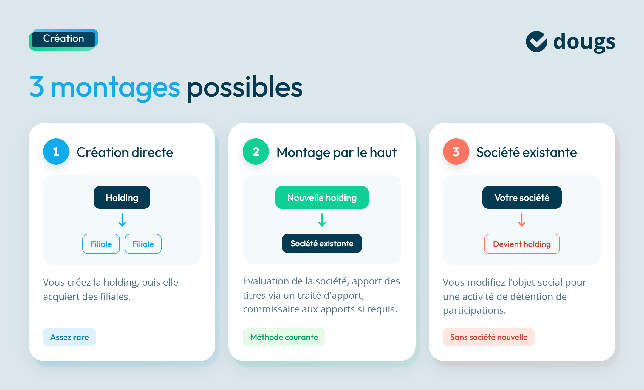 Infographie quel montage de holding choisir