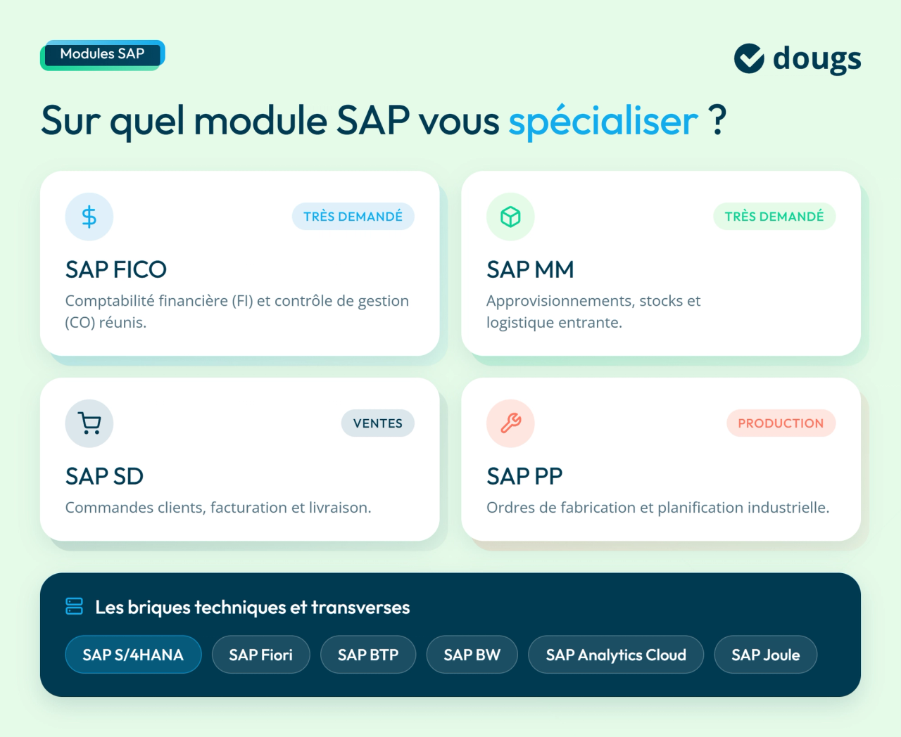 infographie spécialisation