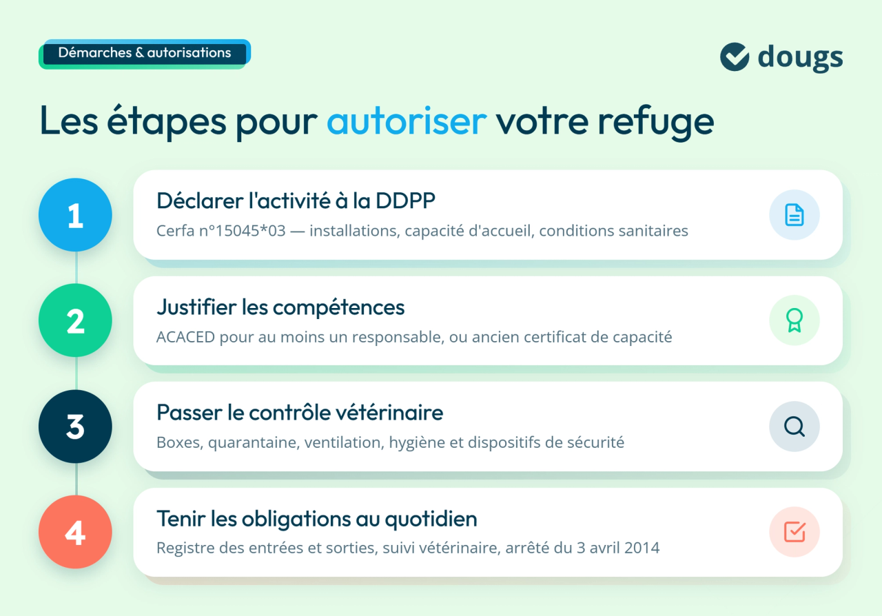 infographie démarches