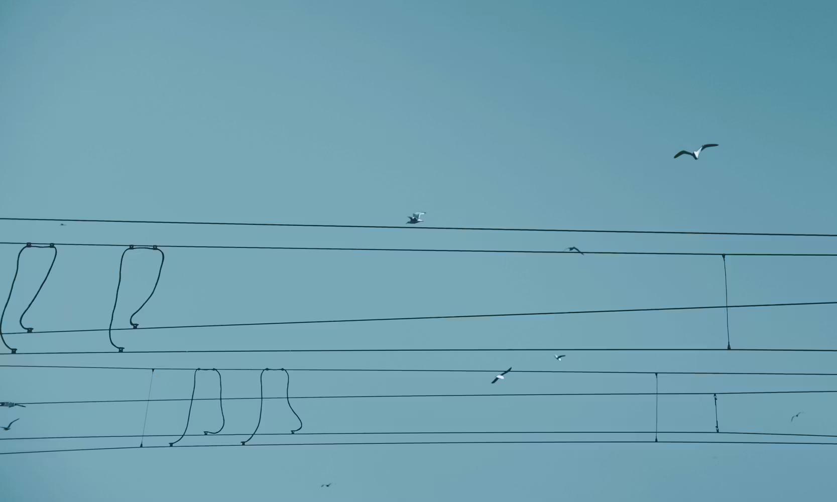 Le changement de gérant dans une SARL