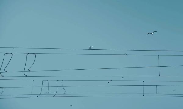 Le changement de gérant dans une SARL