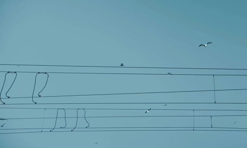 Le changement de gérant dans une SARL