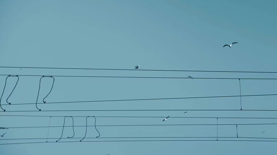 Le changement de gérant dans une SARL