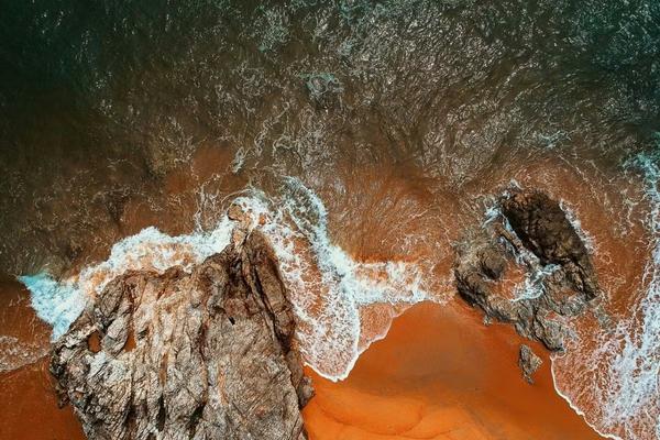 Tout savoir sur le versement de dividendes en entreprise