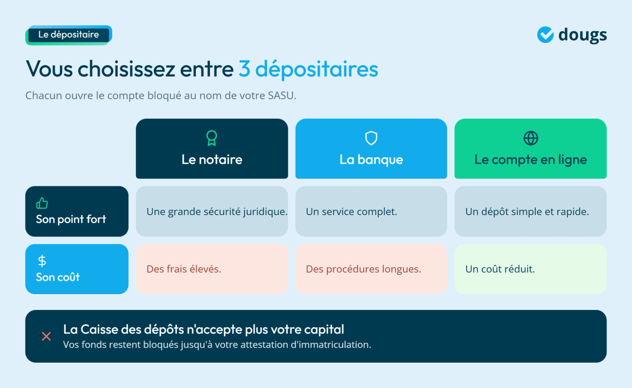 Infographies - Les 3 différents types de dépositaires