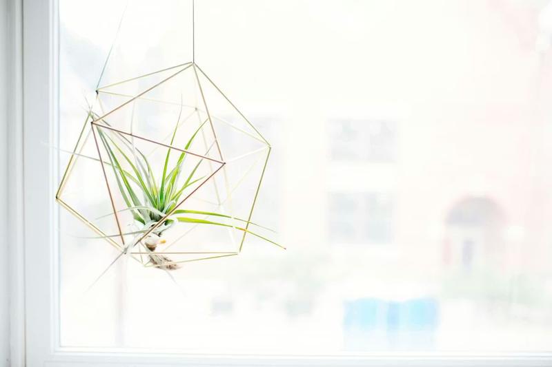 Comment obtenir le régime de la micro-entreprise ?