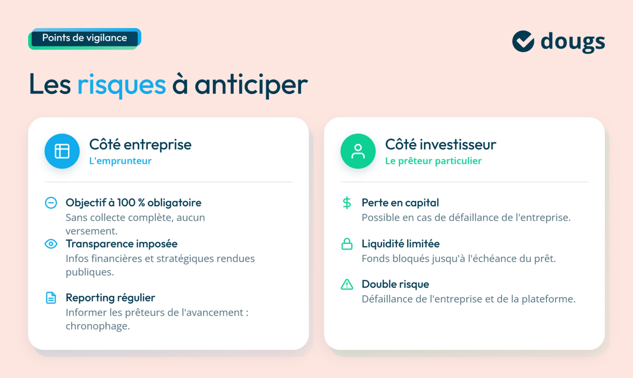 infographie de risques du crowdlending