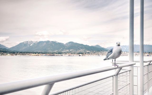 Les prélèvements sociaux dans une SAS