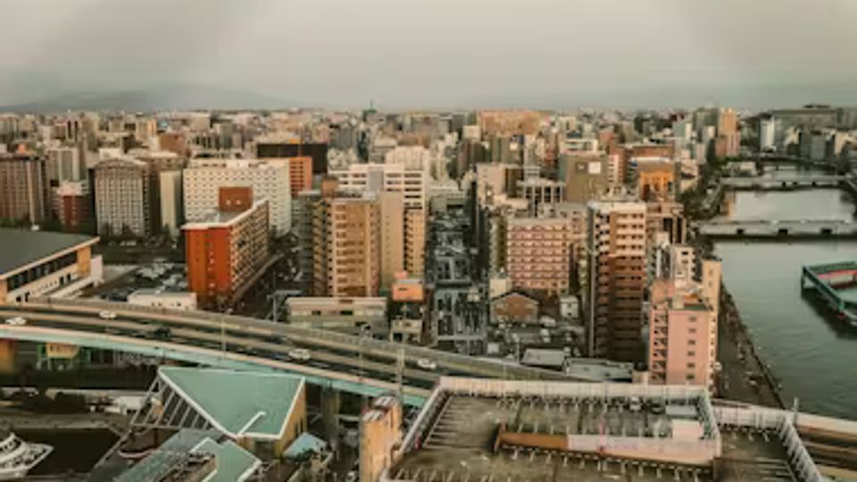 Les avantages fiscaux en zone franche urbaine (ZFU)
