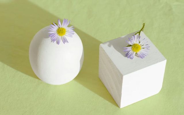 Comptable et expert-comptable : quelles différences ?