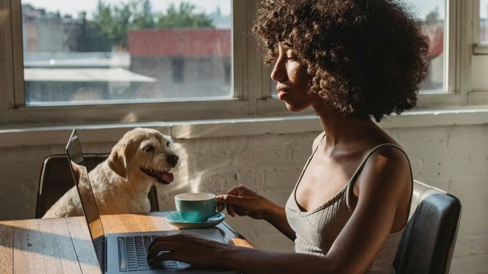 Convention de mise à disposition : comment faire ?