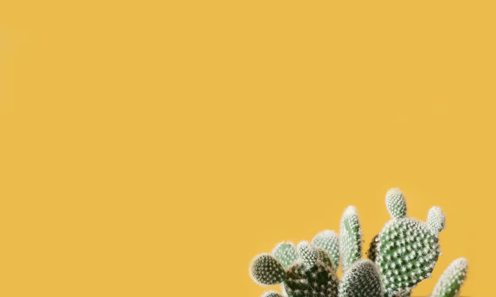 TJM Freelance : guide pour calculer et fixer vos tarifs