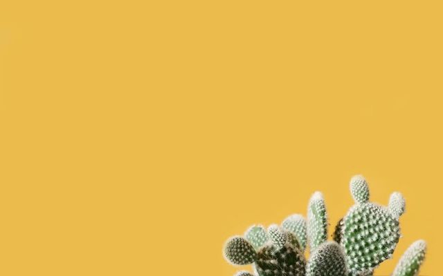 TJM Freelance : guide pour calculer et fixer vos tarifs