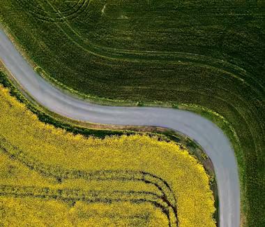 Pourquoi utiliser un tableau de suivi de trésorerie au quotidien ?